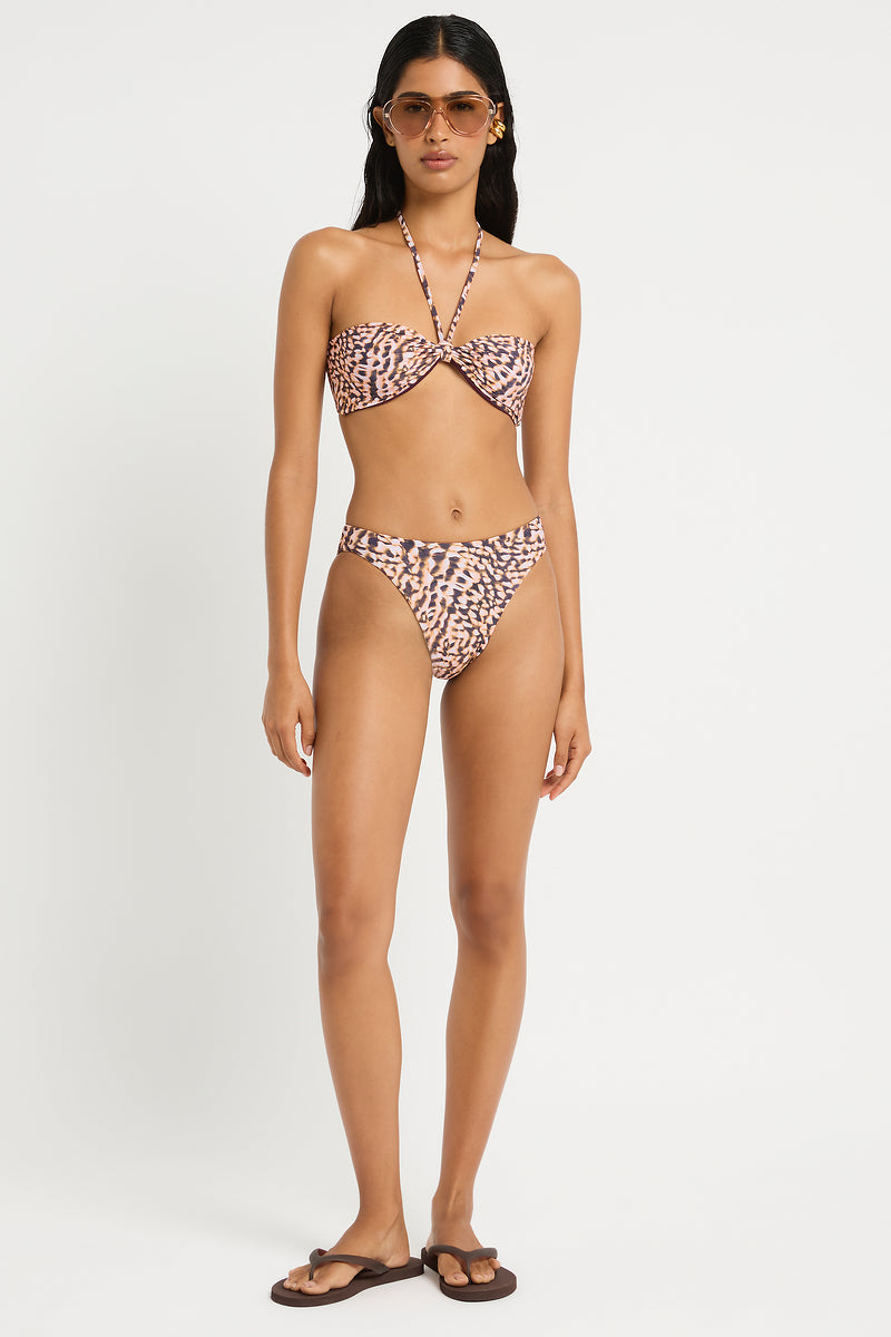 Crista Brief in Papillon / Fig - Giovanna Front