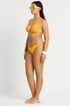 Sonali Brief