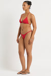 Lotus Brief
